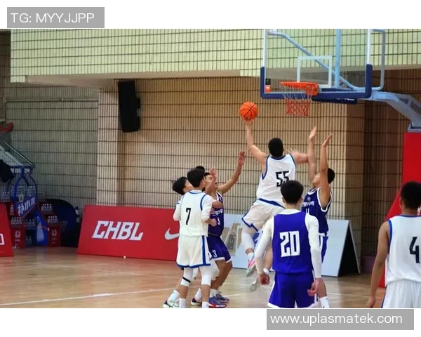 重庆篮球队灵活性深度对比分析及其对战绩的影响探讨