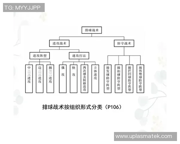 重庆排球队的节奏对比深度解析与战术演变探讨