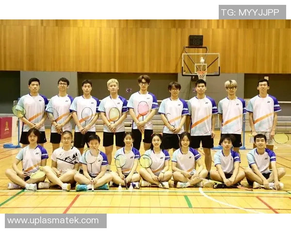 重庆羽毛球队在世界杯背景下的蜕变与发展之路探索