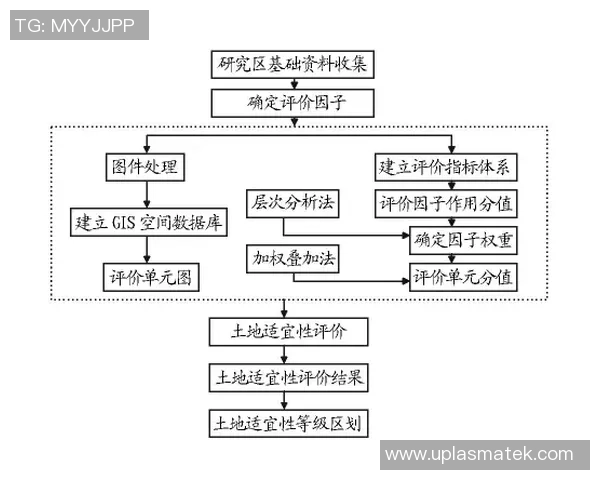 重庆羽毛球队个人能力分析与发展潜力研究