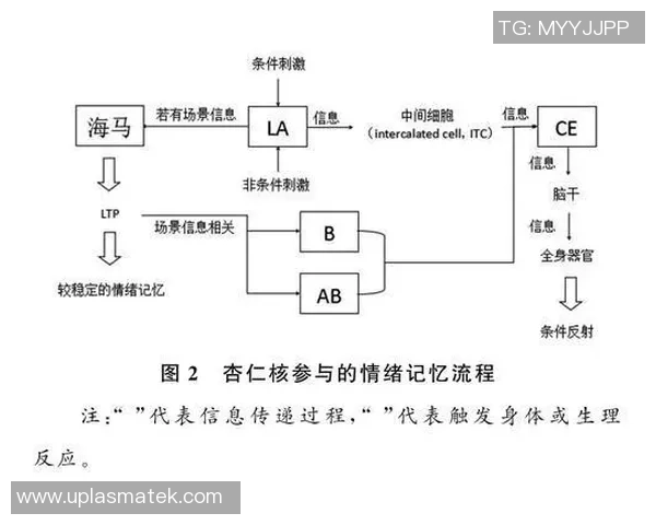 重庆羽毛球队阵地战解析：从战术布局到选手表现的全面探讨